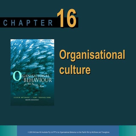 Organizational Behavior CH 16