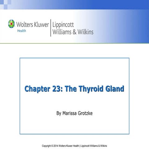PPT_Chapter_23.ppt