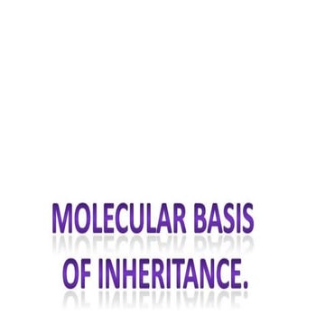 PPTChapter 6 Molecular Basis of Inheritance G (1).pptx