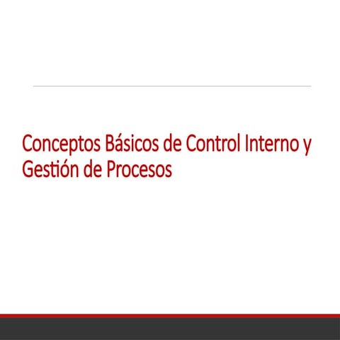 Informe de control interno | DOC