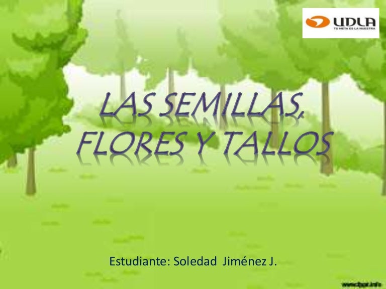 Ppt clase 1 (semillas flores y tallos)