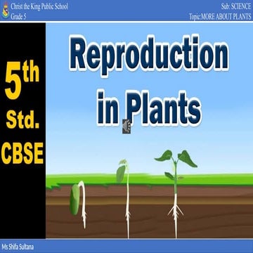 Reproduction in plants- A brief introduction of reproduction | PPTX