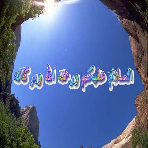 Ppt cnidaria[lita.m] smk duta pratama indonesia