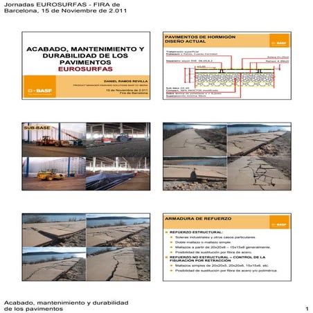 Eurosurfas 2011: Congreso DEIA - Daniel Ramos