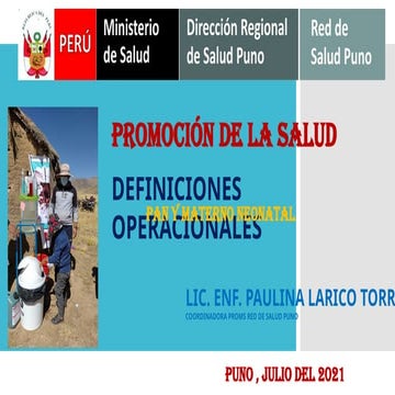 lineamientos de PROMSA de ministerio de salud 2025 2.ppt
