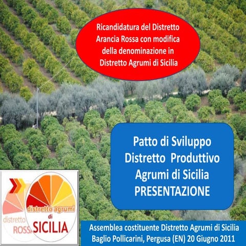Ricandidatura del Distretto Arancia Rossa con modifica della denominazione in...
