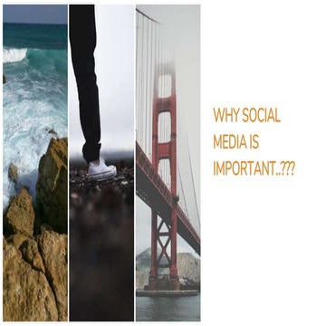 Why Social Media Is Important ?