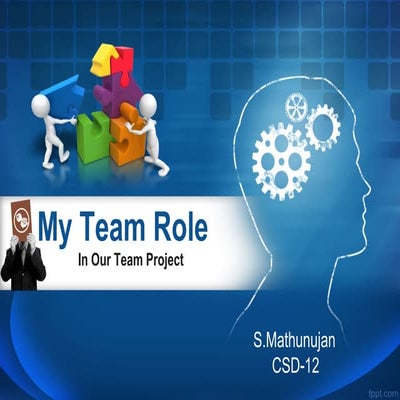 Belbin Team Roles