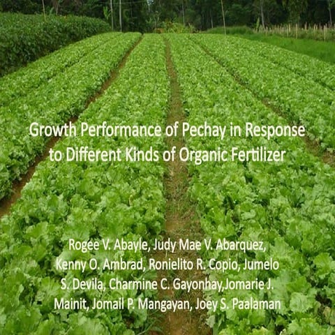 PERFORMANCE OF PECHAY IN RESPONSE TO DIFFENT KIND OF FERTILIZER | PPTX