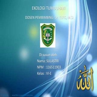 PPT EKTUM SULASTRI