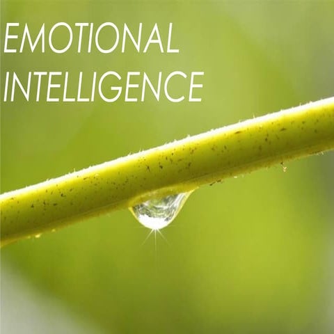 Ppt emotional i ntelligence
