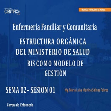 Gestión de Redes Integradas de Salud y Estructura Orgánica del MINSA en ...