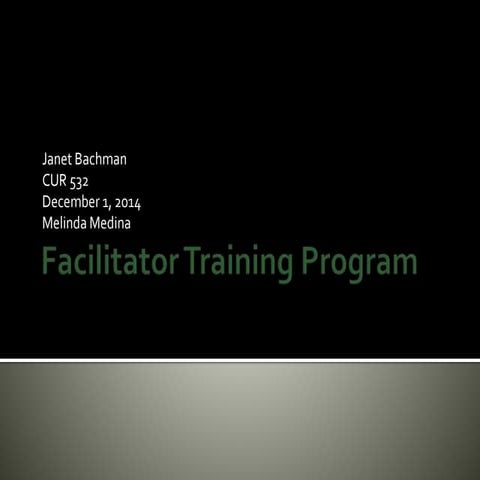 facilitator training program