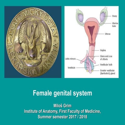 ppt female genital system reproductive system.pdf