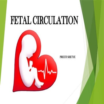 PPT FETAL CIRCULATION IN WOMB DURING PREGNANCY | PPTX