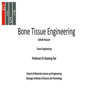 Bone Tissue Engineering