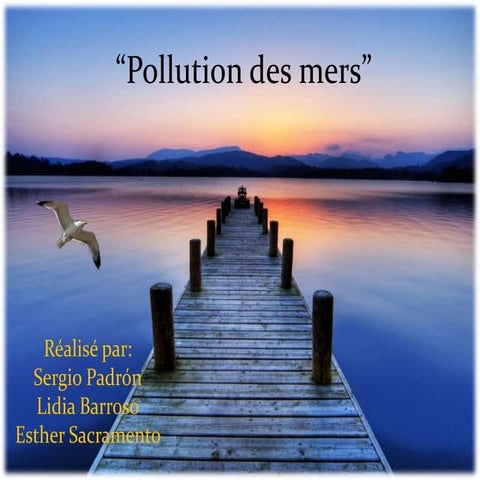 la pollution 4º ESO