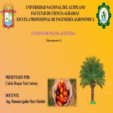 PPT FINAL DE PALMA ACEITERA presentacion