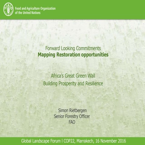 Africa’s Great Green Wall: Building Prosperity and Resilience 