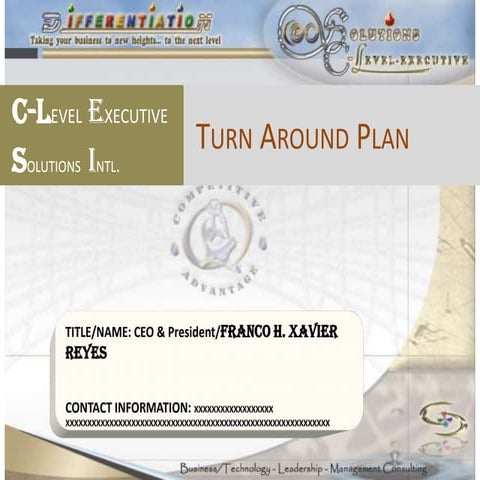 Ppt For C Level Executive Solutions