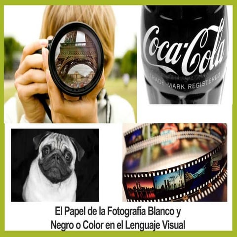 Ppt fotografia