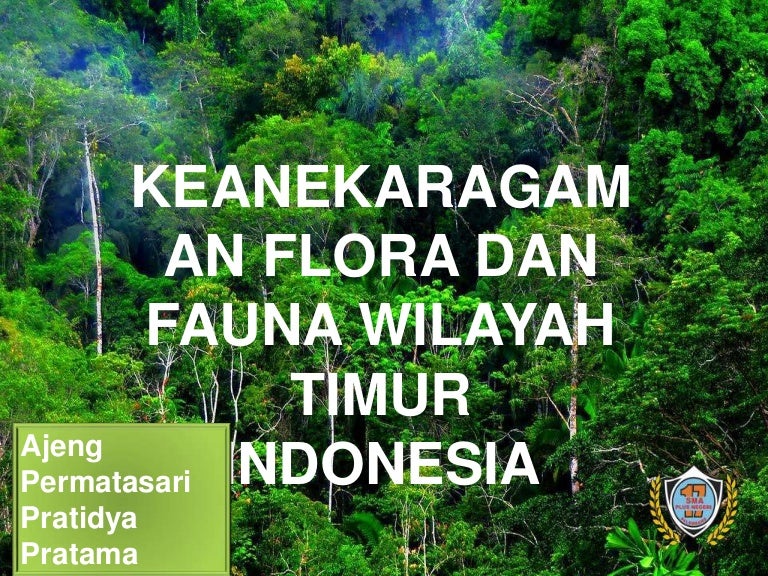 Keanekaragaman Flora Dan Fauna Bagian Timur