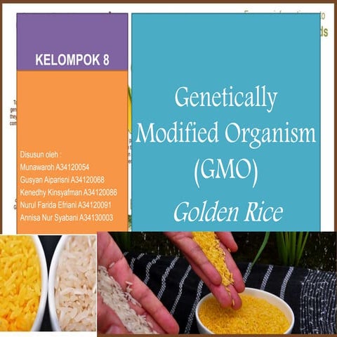 Golden rice | PPTX