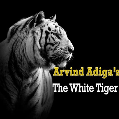 presentation on The White Tiger 