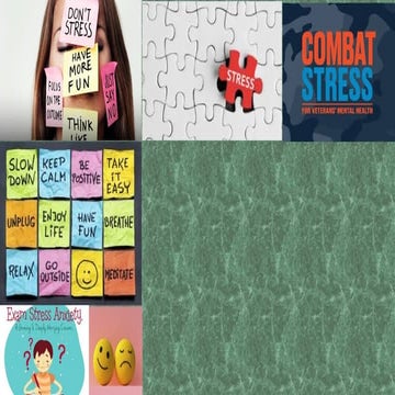 Combat_Stress_GoodStress_BadStress..pptx
