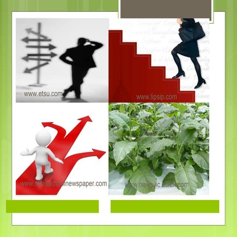 career planning for education student