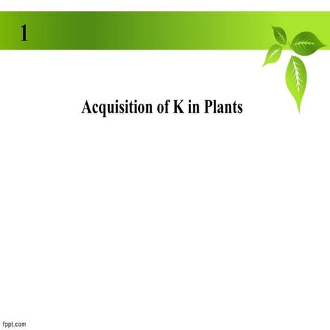 Acquisition of K in Plants | PPT