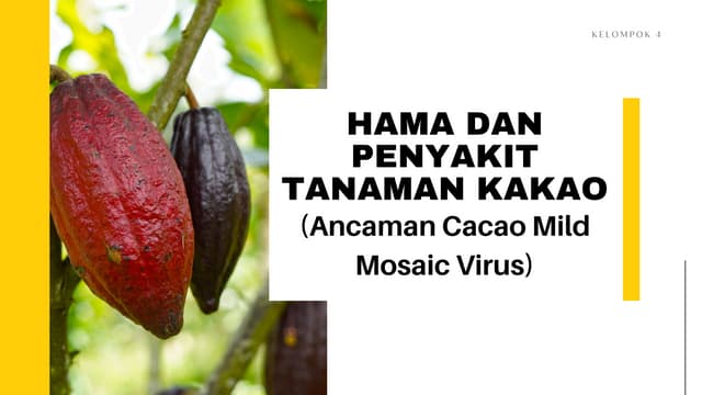 PPT KEL 4 (CaMMV) hama dan penyakit tanaman kakao