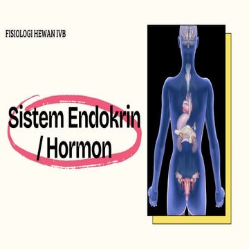 Sistem endokrin | PPTX