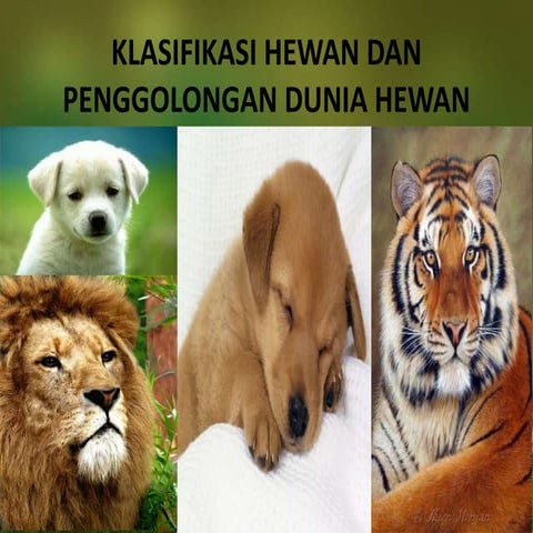 KLASIFIKASI HEWAN DAN PENGGOLONGAN DUNIA HEWAN