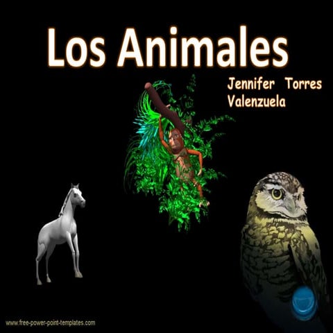 Clasificación de los Animales