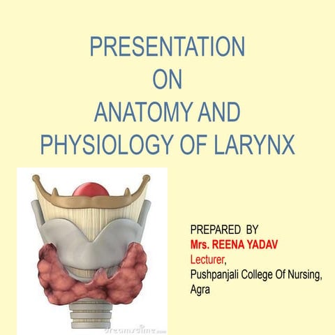 Ppt larynx.