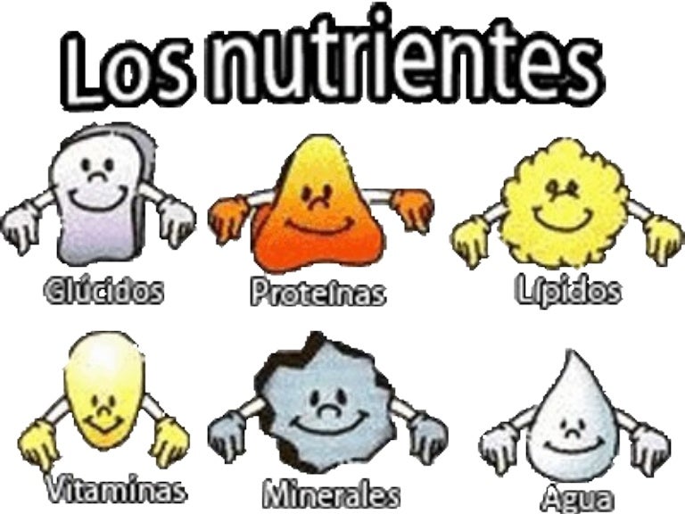 TIPOS DE NUTRIENTES