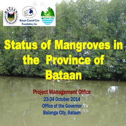 State of the Mangroves: Bataaan