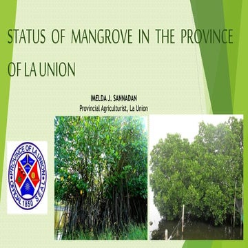 State of the Mangroves: La Union