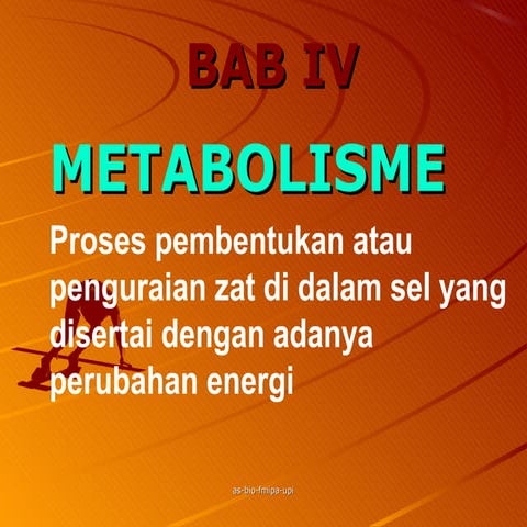 Ppt  metabolisme