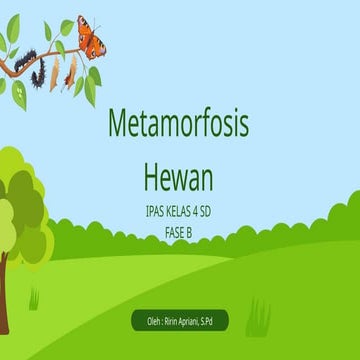 Modul ajar IPAS kelas 3 metamorfosis makhluk hidup.pdf