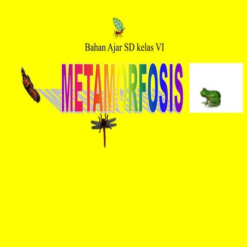 Ppt metamorfosis kelas vi