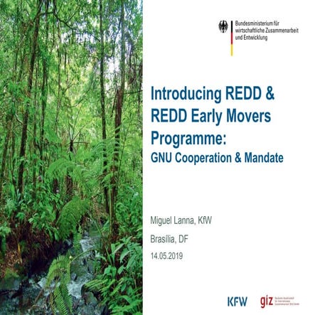 "KfW - REM (Redd Early Movers)"