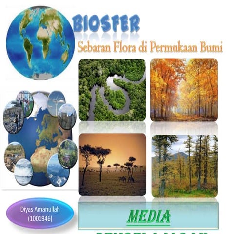 Persebaran Flora di Dunia