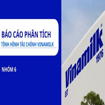 Báo cáo phân tích tình hình tài chính Vinamilk