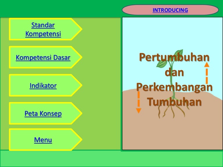 Ppt Pertumbuhan Dan Perkembangan Tumbuhan By Nor Hidayati