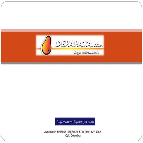 Oferta de Servicios. Depapaya.com. Diciembre 2010.