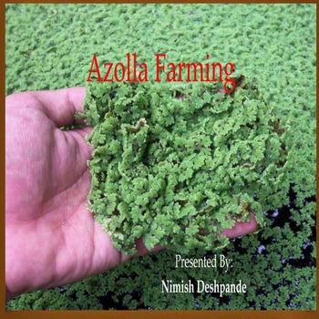 Azolla ppt | PPTX