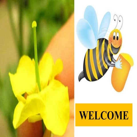 Ppt on exploitation of male sterility in monocots and dicots