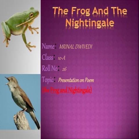 Ppt on frog and the nigthingale class 10